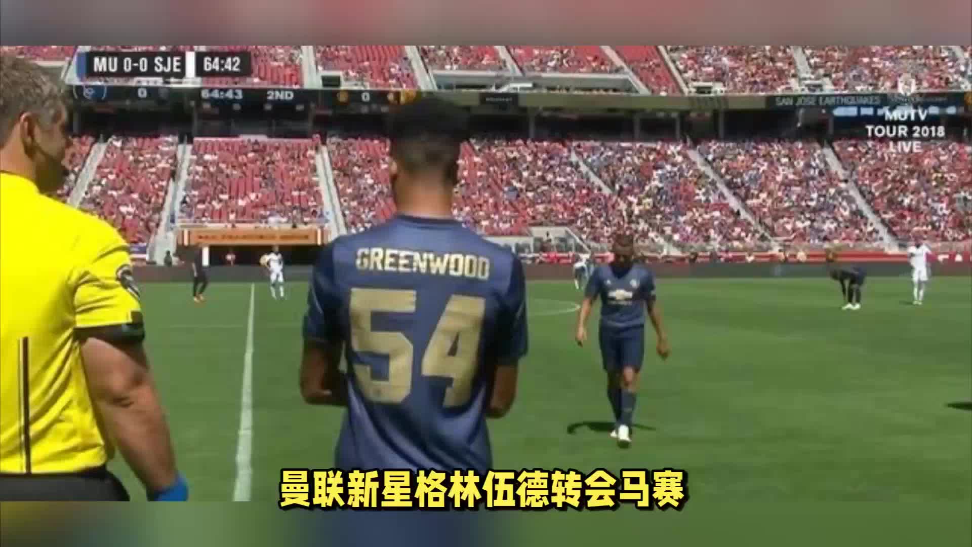自身